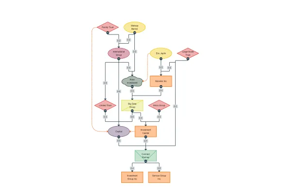 Company Ownership Chart