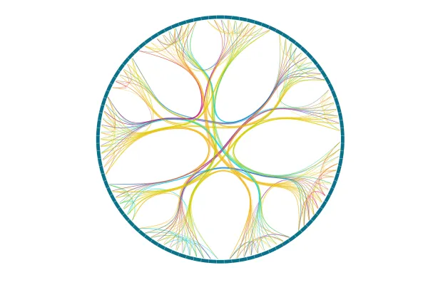 Edge Bundling