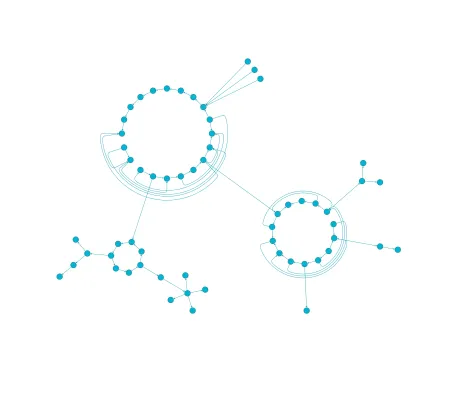 Layout Styles: Circular
