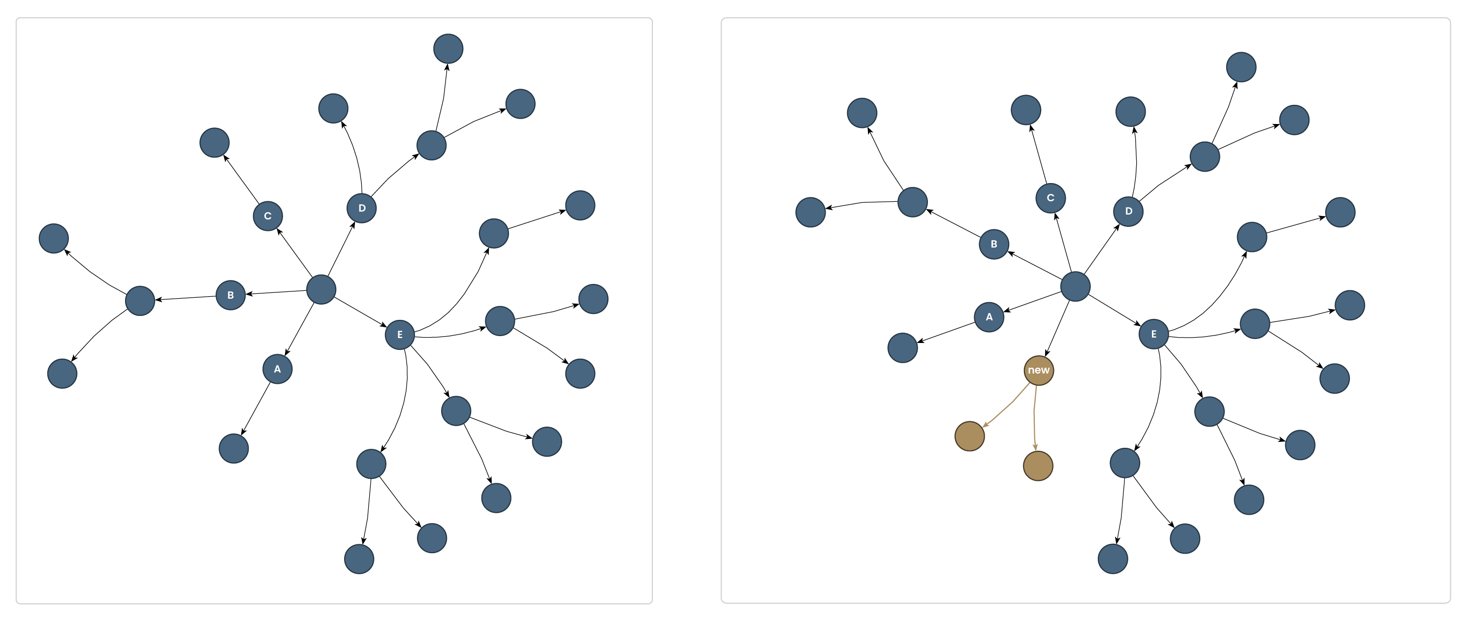 Before and after local change of the radial layout with custom node order