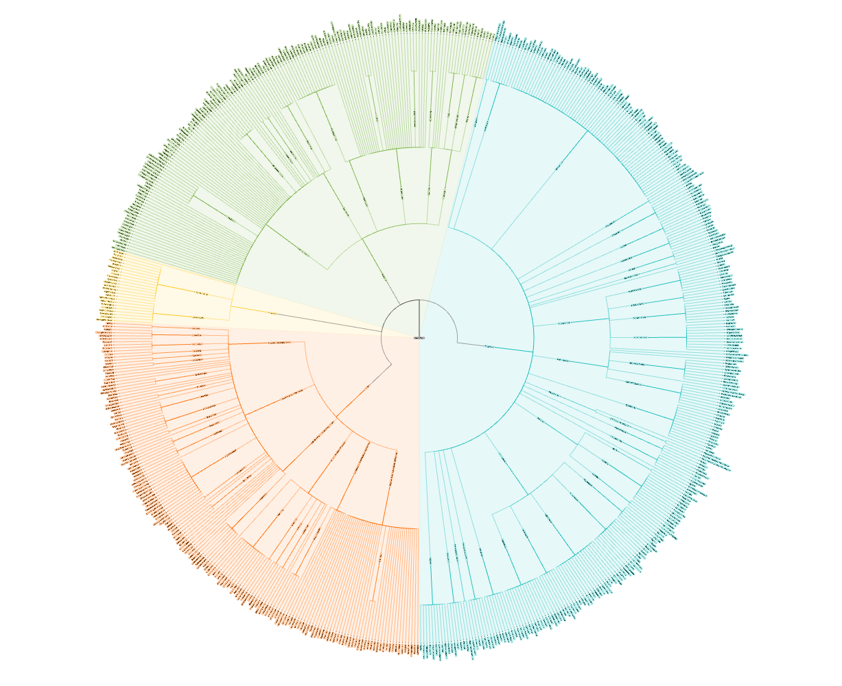Radial layout - Tree of life
